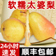 煙臺太婆梨新鮮山東軟梨老婆梨大頭梨香軟梨洋茄梨啤梨水果批發(fā) 9斤 手選精品果 順豐