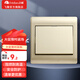 飛雕（FEIDIAO）家用開關(guān)插座面板五孔暗裝插座86型空調(diào)三孔插USB網(wǎng)線電視插A3金 一開雙控