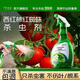 皎潔西紅柿殺蟲(chóng)劑番茄蚜蟲(chóng)白粉虱紅蜘蛛薊馬除蟲(chóng)藥蔬菜非無(wú)毒菜園專(zhuān)用 西紅柿殺蟲(chóng)劑*1瓶