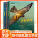 山居歲月系列全3冊 紐伯瑞兒童文學(xué)獎 山居歲月 驚風(fēng)的山 遠山深處小學(xué)生五年級課外書(shū)必讀閱讀外國兒童文學(xué)9-12歲暑假閱讀 山居歲月系列全3冊