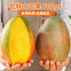 趣嘗鮮 攀枝花凱特芒 8斤禮盒裝 單果700克起 源頭直發(fā) 新鮮水果