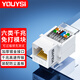 YOUYSI網(wǎng)絡(luò )面板電腦插座單口雙口網(wǎng)線(xiàn)口 適用電話(huà)語(yǔ)音模塊 超五/六/七類(lèi)模塊加厚白色 六類(lèi)模塊【免打式】白色