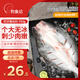 釣魚記巴沙魚1.2斤-1.5斤 三去凈重 湄公魚冷凍魚類燒烤 烤魚 生鮮水產(chǎn)