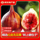 騎猴趕馬四川紅皮無花果(順豐)現(xiàn)摘一級(jí)果應(yīng)季孕婦新鮮水果禮盒紫皮無花果 1.5斤裝【單果35g+】凈重1.4斤