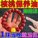 核桃手串保養(yǎng)油文玩金剛玉竹葫蘆核桃快速上色包漿玉化防裂養(yǎng)護(hù)油 核桃保養(yǎng)油1盒裝