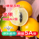 裕農叔冬蜜黃晶果【順豐JD】黃金牛奶雅美果稀有高端當季大黃皮水果鮮果 2斤裝（商超精品）凈果1.5斤