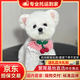純種比熊幼犬小型小體活物卷毛血統(tǒng)比熊犬茶杯寵物狗狗長(zhǎng)不大可愛(ài) 寵物級(jí) 視頻選寵