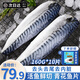 朵芙挪威青花魚 進口大西洋鯖魚冷凍鮐鲅魚青魚去臟日料烤魚深海魚類 【大片】160g*10片（凈重）