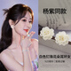 伊燦楊紫同款白色花朵耳釘女2025新款爆款個(gè)性高級感耳環(huán)絕美清新耳飾 清新感白色花朵耳釘