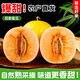 正宗民勤蜜瓜新鮮水果當(dāng)季現(xiàn)摘沙漠黃金哈密瓜黃肉黃皮甜香瓜順豐 凈重8-9斤【2-3個(gè)瓜】 【順豐快遞】