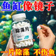 ZOZX德國品質(zhì)魚缸除藻劑去苔劑凈青苔清除劑褐藻去除神器綠水綠藻絲藻 高分子濃縮【1瓶100?！烤G藻不再生