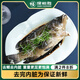 深悅勝 鮮活生凍老虎斑魚(yú) （三去）袋裝 石斑魚(yú) 海鮮年貨禮盒 水產(chǎn)魚(yú)類 【600g三去后】?jī)糁?50-500g