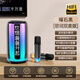LUAMAR柏林之聲藍牙k歌音箱無(wú)線(xiàn)家庭ktv麥克風(fēng)一體套裝戶(hù)外唱歌神器 頂配版雙話(huà)筒