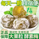 桃西村酵素梅增強版清清排便秘隨便清凈果腸排宿便脆青梅水果 20粒酵素青梅增強版可試吃一粒