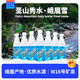 峨眉雪四川樂山峨眉特產(chǎn)荔枝味果味汽水飲料500ml*12瓶整箱