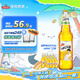 漢斯啤酒（HANS）漢斯小木屋菠蘿啤白宇代言無酒精碳酸飲料480ml*12瓶
