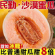 順豐正宗甘肅民勤黃金蜜瓜9斤現(xiàn)摘現(xiàn)發(fā)新鮮水果脆甜哈密香瓜甜瓜L 2-3斤【1個瓜】【順豐現(xiàn)摘】