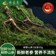 水長東新鮮野山參2支裝30g禮盒16年長白山人參帶土現(xiàn)挖源頭直發(fā)包郵