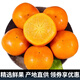 迭果云南脆柿子巧克力柿富有新鮮脆甜柿花果黃甜硬柿子 9斤