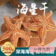 胖東來(lái)藥房品質(zhì) 野生大海星干貨中藥材500g 海五星新鮮泡湯泡酒料 250克