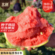 北蔬 懶漢西瓜種子種苗特大巨型南方種植超甜西瓜籽 懶漢西瓜種子60粒