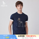 哈吉斯（HAZZYS）男裝 夏款上衣男大狗圖案圓領短袖T恤男ASTZE0BBE62 藏青色NV XL (180/100A 50)