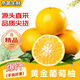 翠鮮令福建黃金葡萄柚爆汁柚子新鮮水果當季黃心蜜柚整箱包郵源頭直發(fā) 5斤裝【店長(cháng)推薦】?jì)?.5