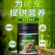 爬寵守宮鈣粉維生素粉d3蜥蜴鈣維粉鬃獅蜥專用用品烏龜樹蛙爬蟲 爬寵維生素-睫角豹紋守宮角蛙