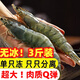 江七公新鮮活凍大青蝦大蝦蝦類 1500g(凈重)  3斤海蝦