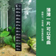 魚(yú)缸溫度計貼紙 水族烏龜缸感應式貼片溫度計高精度變色測溫貼紙 長(cháng)款魚(yú)缸貼1張