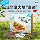 鰩鰩魚（yaofish）兒童桌游親子家庭棋生日禮物小學(xué)生初中男女孩玩具山河奇跡