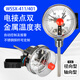 子琪WSSX-411電接點(diǎn)雙金屬溫度計電觸點(diǎn)溫度計溫度控制器上下限溫控表 徑向0-100度探桿100mm