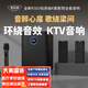 麥樂迪K506家庭ktv音響套裝回音壁無線藍牙電視音箱家庭影院卡拉ok一體機家用k歌全套設備 K503_洞悉萬音版+演出級話筒