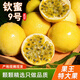 禾桂堂 廣西欽蜜9號黃金百香果特大新鮮水果當季 白香果原果漿整箱包郵 凈重4.5斤 【特大果裝】單果70-90g丨店長力薦