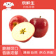 京鮮生新西蘭進(jìn)口Dazzle丹爍蘋果4粒裝 單果130-170g 當(dāng)季鮮果