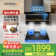 歐派（OPPEIN）家用抽油煙機Ai智能頂側雙吸大吸力 25m3風(fēng)量揮手智控爆炒變頻煙灶聯(lián)動(dòng)煙機 【煙灶套裝】AI變頻煙機+定時(shí)猛火灶天然氣