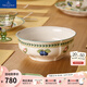 德國唯寶（Villeroy&Boch）法式花園系列碗飯碗湯碗面碗釉中彩陶瓷碗家用 Fleur 湯碗 21cm