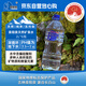 泉陽泉（QUANYANGQUAN） 長白山天然礦泉水 大桶裝 家庭用水 2L*6桶 整箱塑包裝