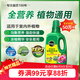 美樂棵植物通用營養(yǎng)液磷酸二氫鉀花肥肥料綠蘿發(fā)財樹植物營養(yǎng)液500ML