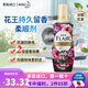 花王 （KAO）日本原裝 花王 Flair衣物毛衣柔順劑 護(hù)理劑 留香柔軟防靜電褶皺 濃郁花香520ml1瓶（新款）