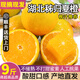 灃御園正宗湖北秭歸夏橙 酸甜橙榨汁專(zhuān)用甜橙當季時(shí)令水果新鮮 9斤中果果徑約65-70mm