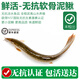 太湖?！緹o(wú)抗 鮮活泥鰍】淡水魚(yú)類(lèi)生鮮活體墮龍 可藥食材 軟骨小泥鰍1斤（約50-100條）