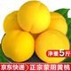 京地達(dá)黃桃水果桃子蒙陰新鮮應(yīng)季蜜桃 凈重5斤 單果150g起 源頭直發(fā)