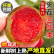 甜萌果蔬三華李【現(xiàn)貨】紅心李新鮮酸甜孕婦水果銀妃紅心李子整箱送禮 2斤實惠裝【單果約30g+】凈重1.8斤