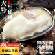 生蠔肉大號冷凍去殼牡蠣肉新鮮鮮活現(xiàn)剝海蠣子肉生鮮 250g大號生蠔肉*4盒