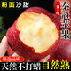 正宗陜西秦冠蘋(píng)果新鮮水果當季整箱粉面沙甜寶寶輔食掛泥萍果 5斤 大果