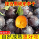 陜西涇陽新鮮現(xiàn)摘黑布林李子孕婦酸甜水果黑琥珀脆李當(dāng)季整箱包郵 2斤裝