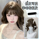瑜品佳假發(fā)女羊毛卷短發(fā)俏皮可愛(ài)冷棕色短發(fā)時(shí)尚少女日常顯白整頂假發(fā)套 羊毛卷波波頭短卷發(fā) 棕色系 短發(fā)