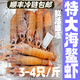 特大海鰲蝦國產(chǎn)可刺身生腌日料野生鮮活冷凍海蝦新鮮速凍深海大蝦 【約6-8頭】海螯蝦 1000g(凈重)