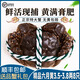 【活蟹】蟹王港大閘蟹 鮮活大螃蟹公蟹可全母蟹 海鮮水產(chǎn)生鮮禮盒 精品六月黃全母3.5-3.8兩四對(duì)8只 蘇州精品大閘蟹
